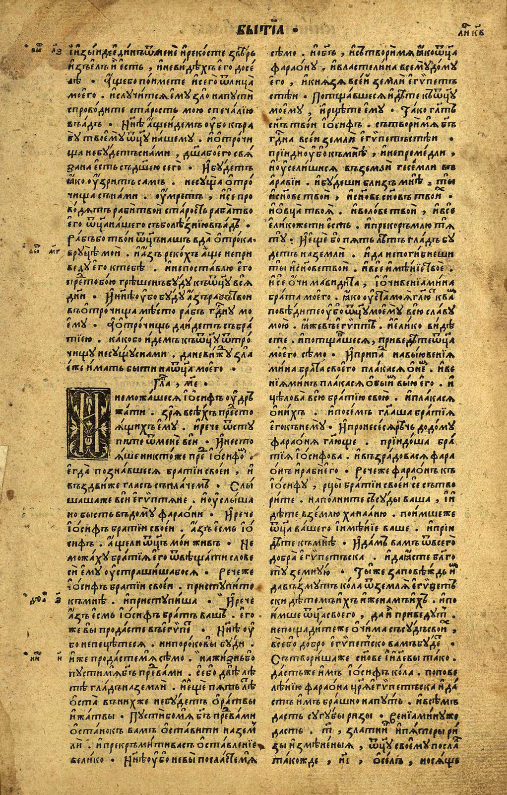 43