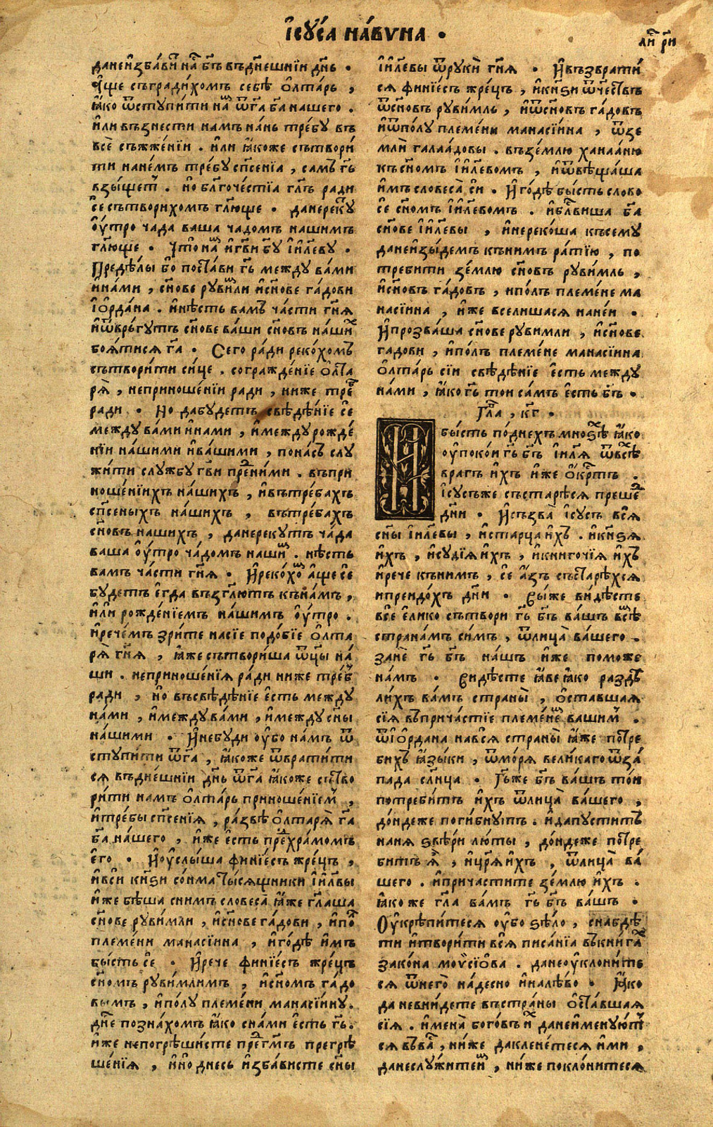 23