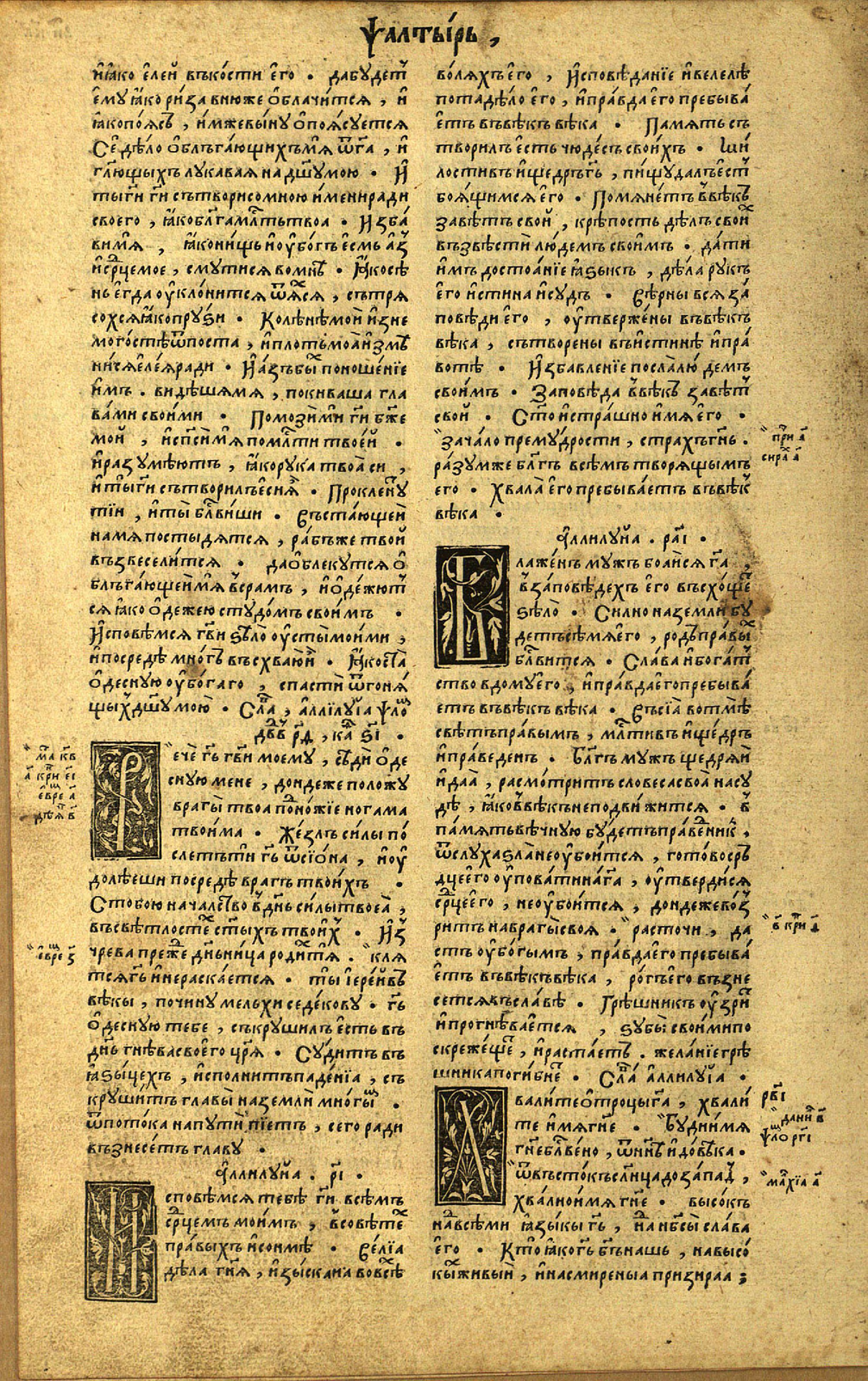 44