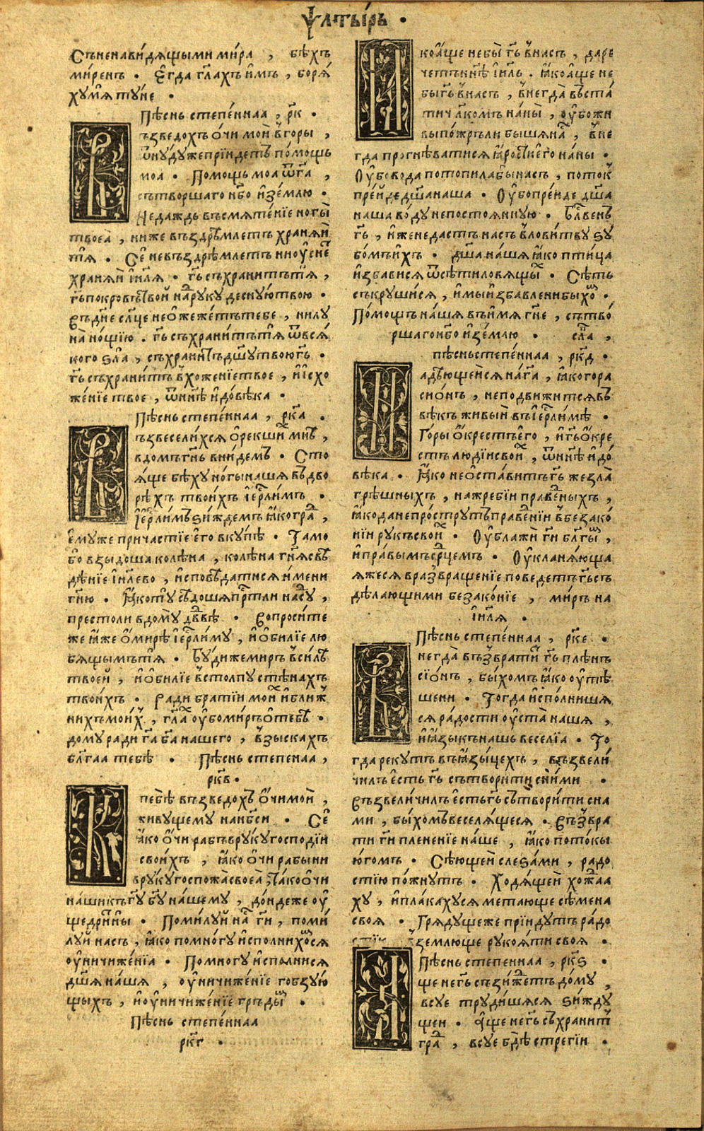50