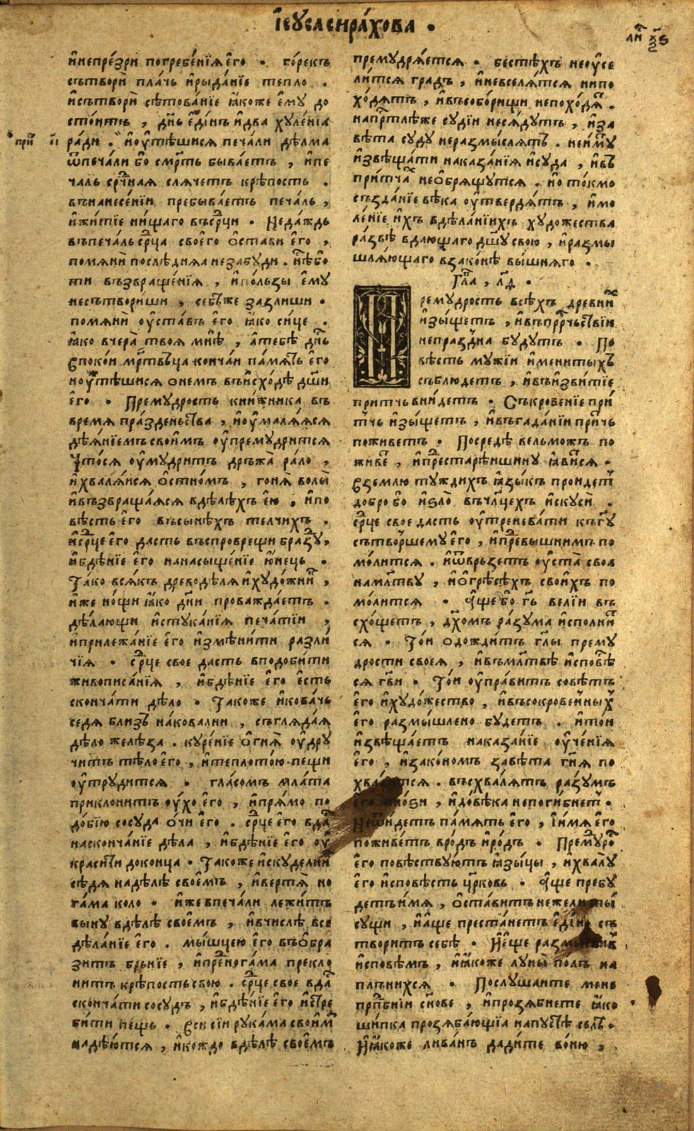 25