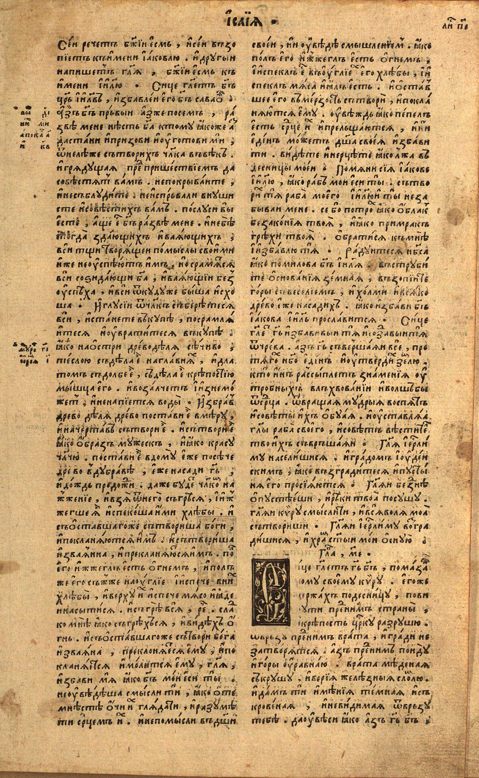 31